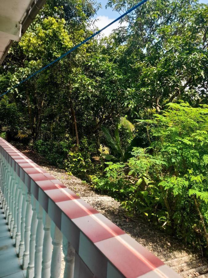Hotel Santis Hikkaduwa Buitenkant foto
